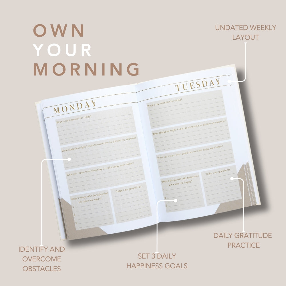 LSW mind cards and morning notes collection