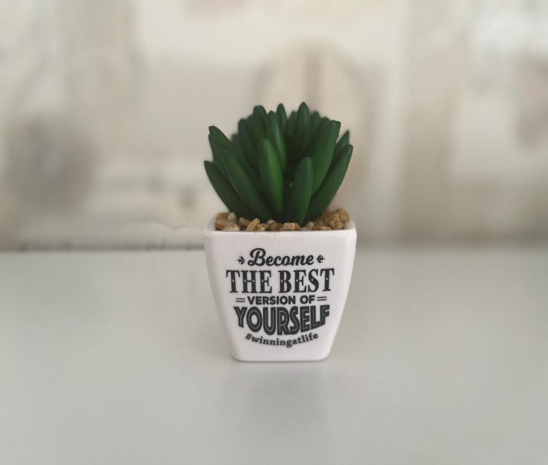 Succulent - best version