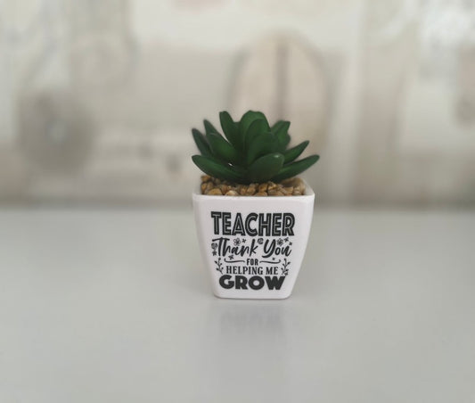 Succulent - teacher