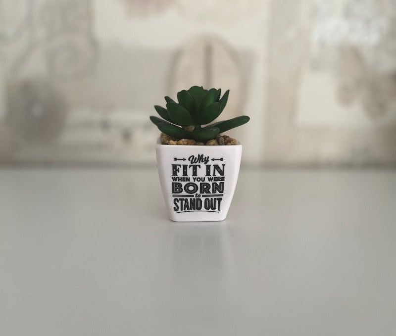 Succulent - why fit in