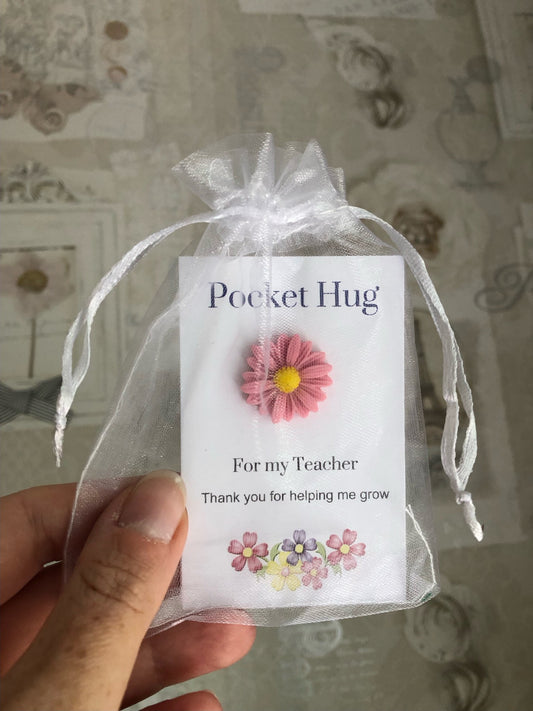 Teacher pocket hug